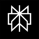 Perplexity logo